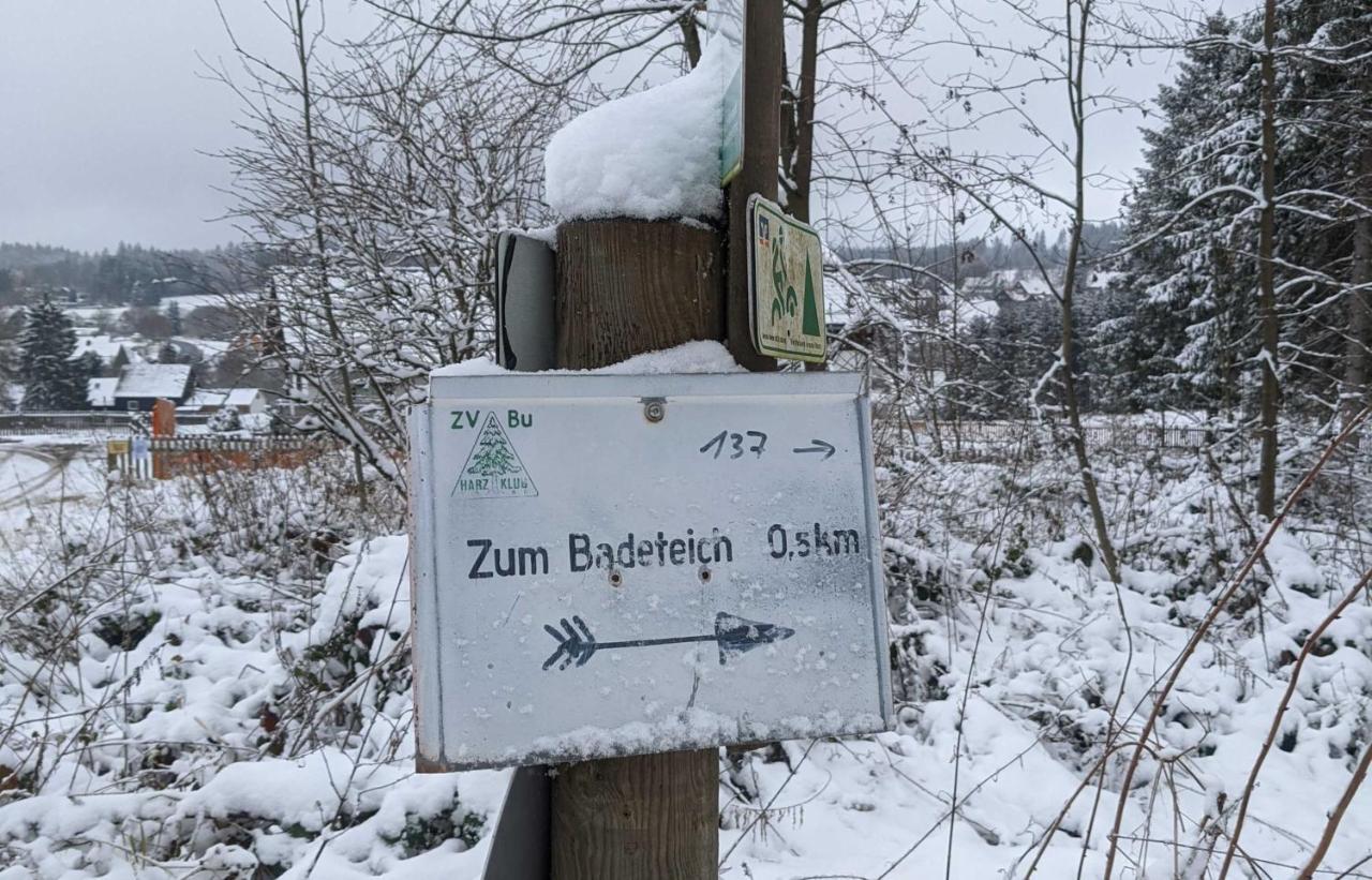 Bunter Bock / Die Harz-Urlaubs-Alm Clausthal-Zellerfeld Kültér fotó